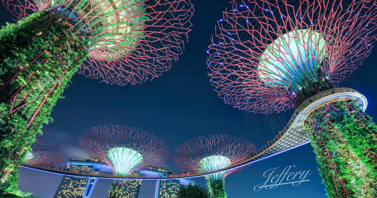 新加坡｜濱海灣花園。 重逢魔幻天空樹