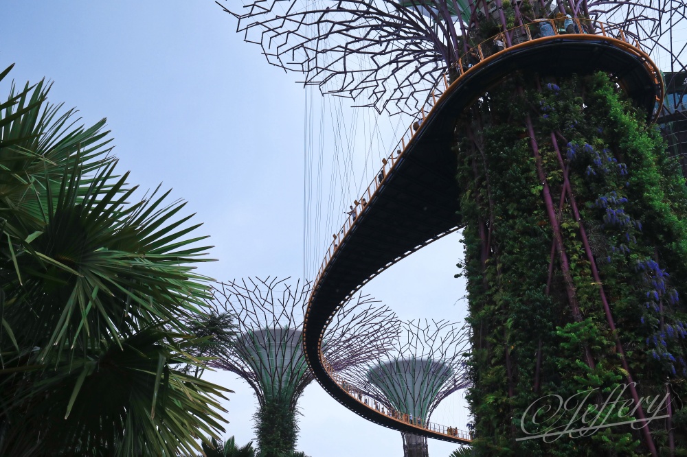 新加坡｜濱海灣花園。 重逢魔幻天空樹