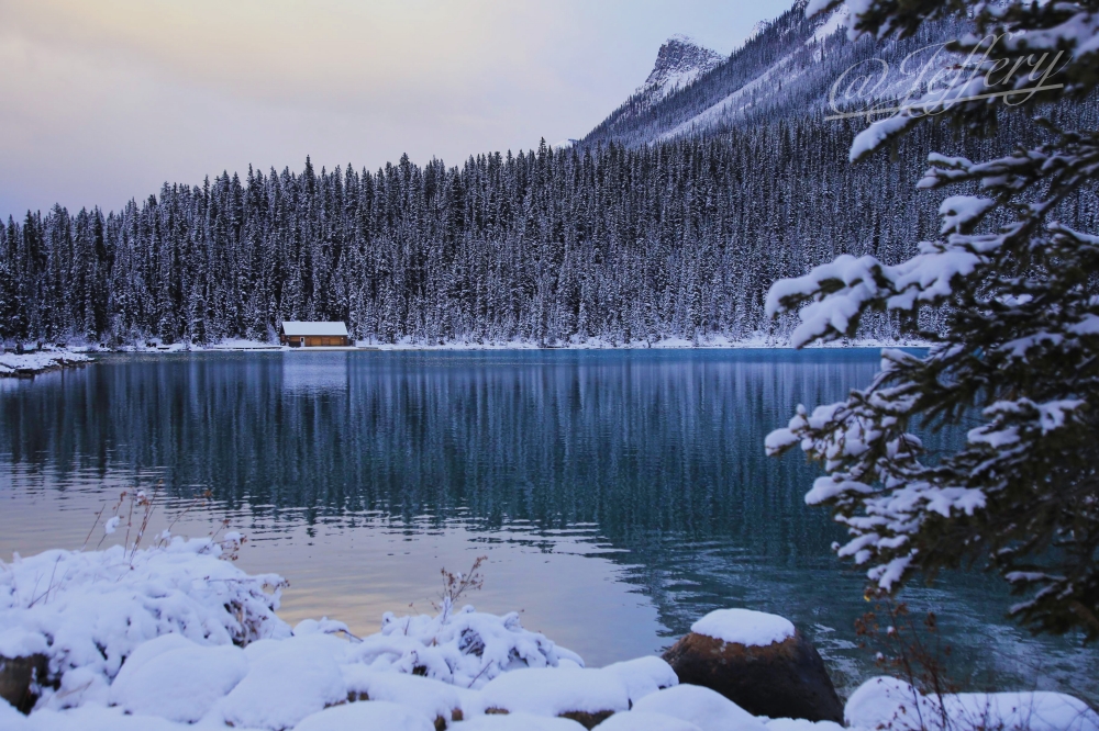 加拿大｜露意絲湖。 冬日裡的山中藍寶石