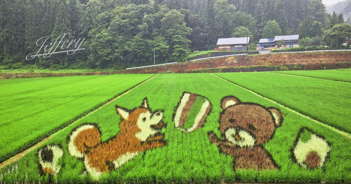 秋田｜秋田內陸線。  搭觀光列車賞稻田彩繪