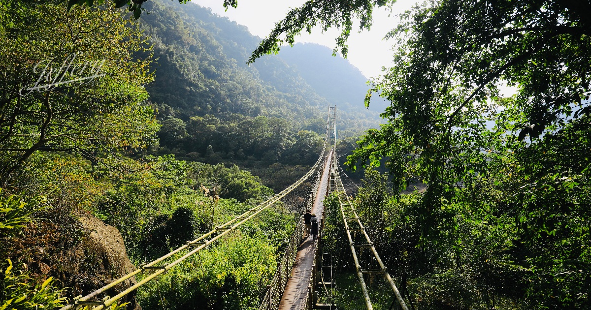 嘉義|達娜伊谷。 徜徉山林 啖獵人餐 嘉義|達娜伊谷。 徜徉山林 啖獵人餐